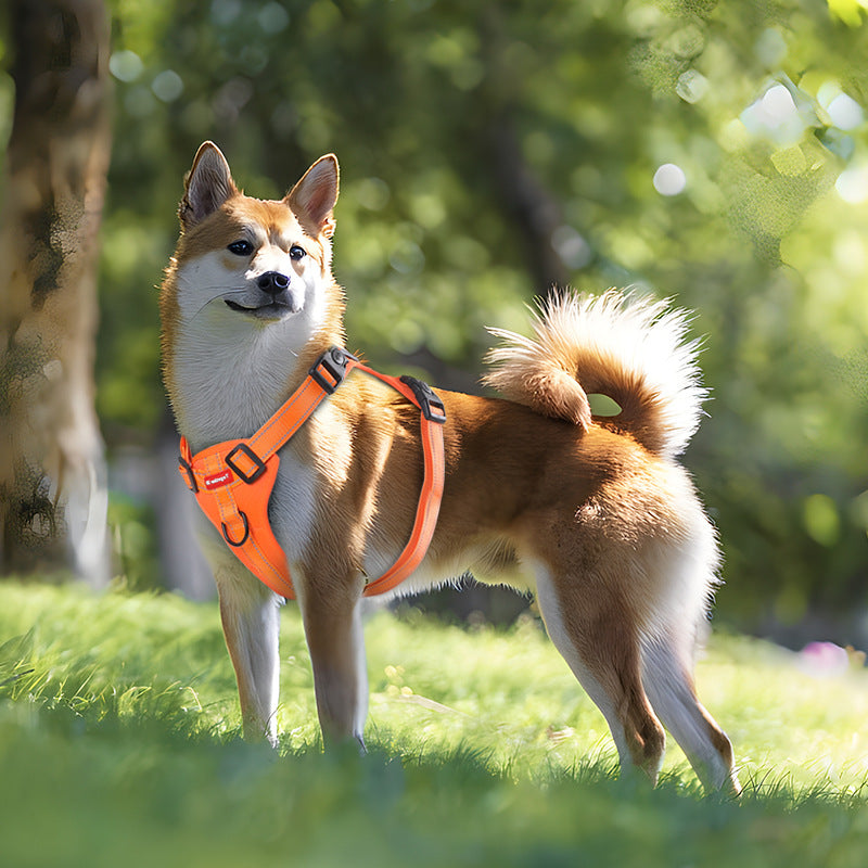 Medium Reflective Dog Harness with Leash, No-Pull Vest Harness for Dogs, Adjustable Dog Vest with Handle, Walking Training Pet Harness
