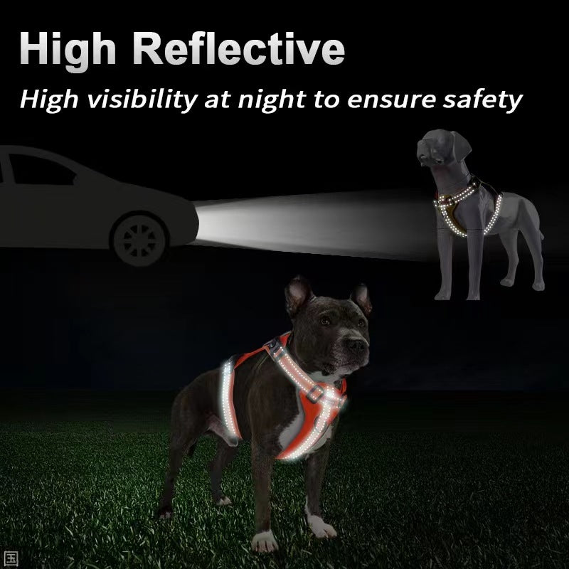 Medium Reflective Dog Harness with Leash, No-Pull Vest Harness for Dogs, Adjustable Dog Vest with Handle, Walking Training Pet Harness